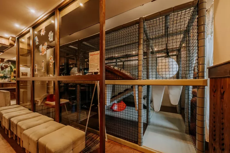 Strefa dla najmłodszych 4